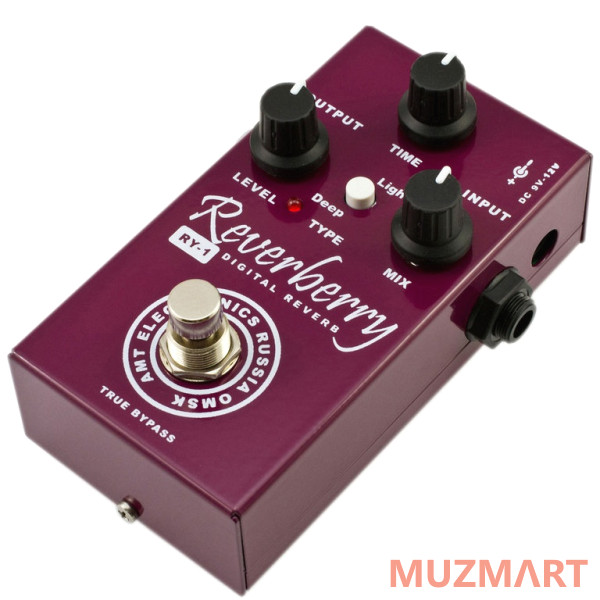 AMT Electronics RY-1 Reverberry Цифровой ревербератор