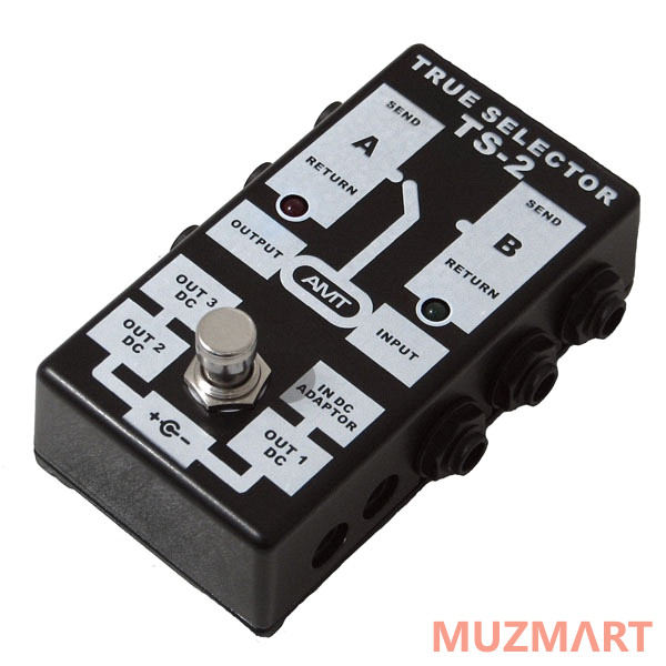 AMT Electronics TS-2 TRUE SELECTOR Пассивный двухканальный коммутатор