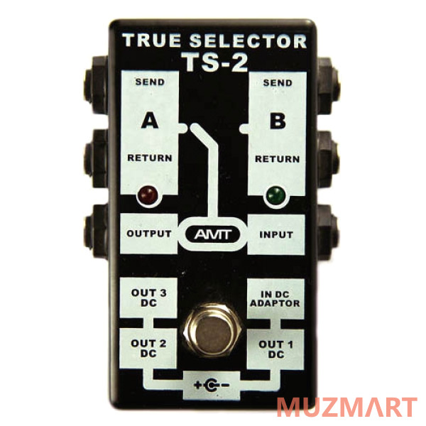 AMT Electronics TS-2 TRUE SELECTOR Пассивный двухканальный коммутатор
