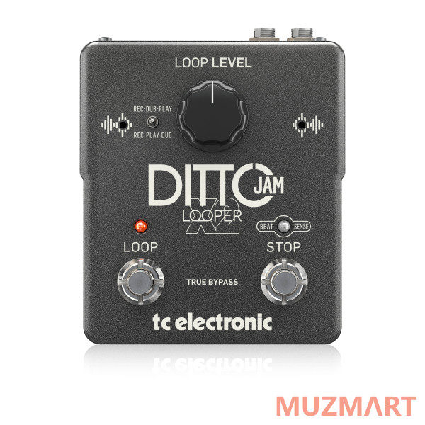 TC Electronic DITTO JAM X2 LOOPER Интуитивный лупер с технологией BeatSense
