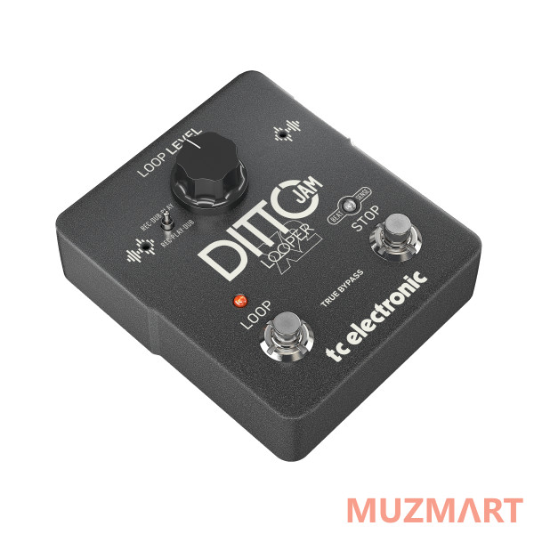 TC Electronic DITTO JAM X2 LOOPER Интуитивный лупер с технологией BeatSense