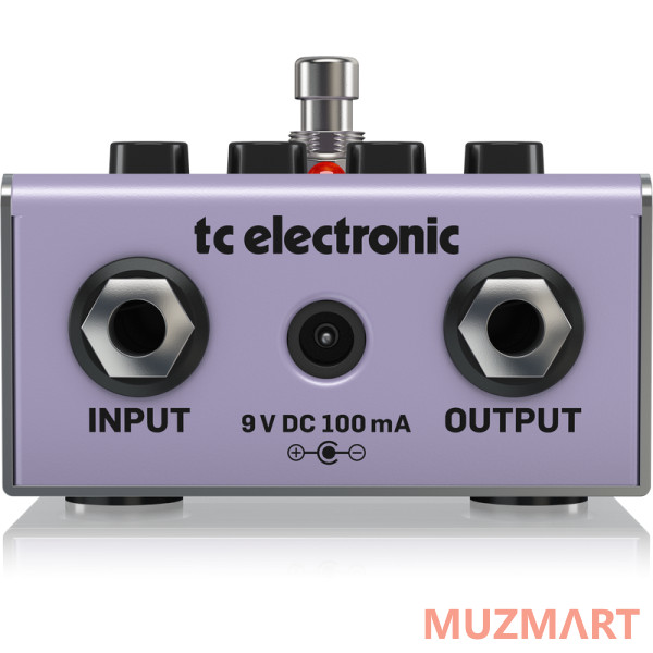TC Electronic KIT 3RD DIMENSION_ACDOO6 Педаль эффекта с адаптером питания