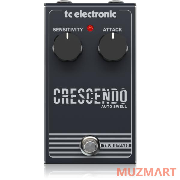 TC Electronic KIT CRESCENDO AUTO SWELL_ACDOO6 Педаль эффектов с адаптером питания
