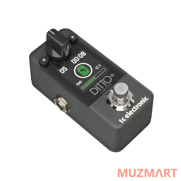 TC Electronic DITTO+ LOOPER Гитарный лупер с цветным дисплеем и внутренней памятью