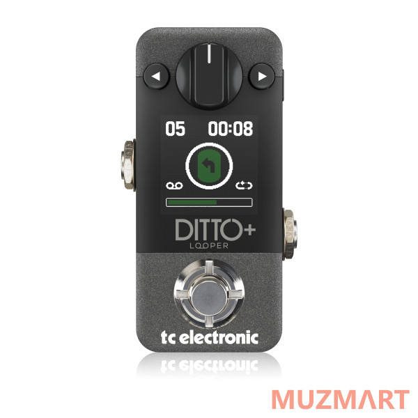 TC Electronic DITTO+ LOOPER Гитарный лупер с цветным дисплеем и внутренней памятью