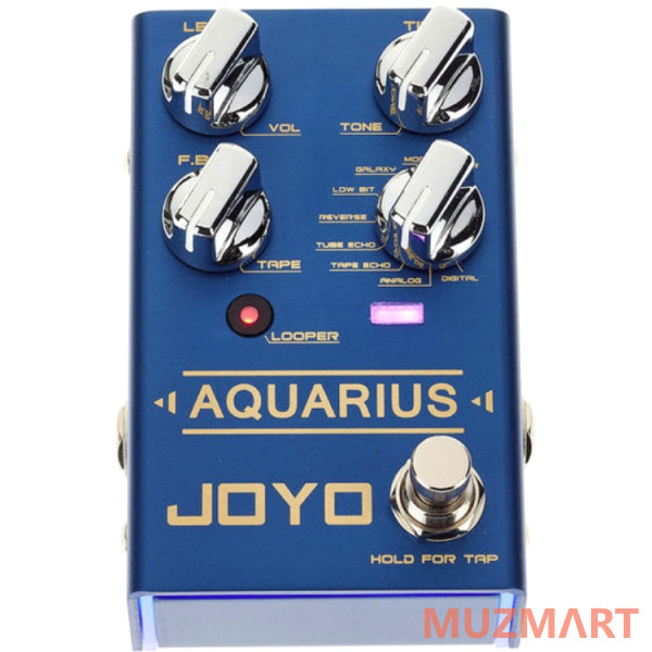 Joyo KIT R-07_ACDOO6 Педаль эффектов с адаптером питания
