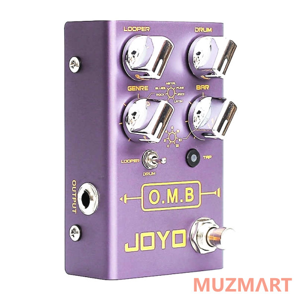Joyo KIT R-06_ACDOO6 Педаль эффектов с адаптером питания