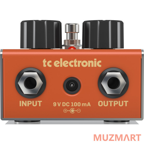 TC Electronic KIT IRON CURTAIN_ACDOO6 Педаль эффектов с адаптером питания