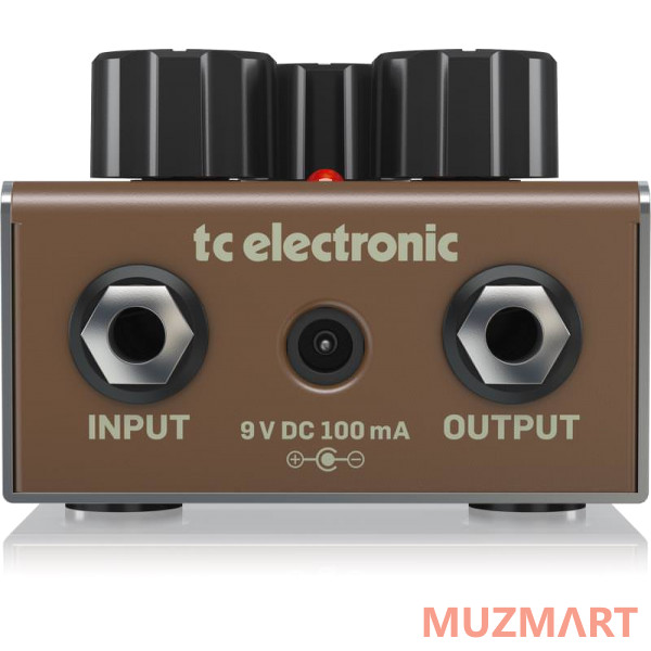 TC Electronic KIT ECHOBRAIN_ACDOO6 Педаль эффектов с адаптером питания