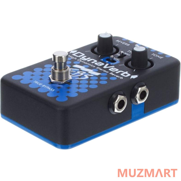 EBS KIT DynaVerb_ACDOO6 Педаль Reverb с адаптером питания