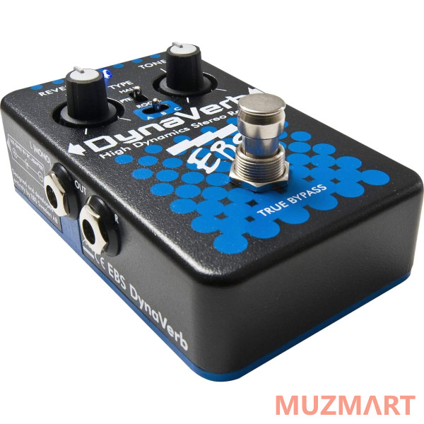 EBS KIT DynaVerb_ACDOO6 Педаль Reverb с адаптером питания