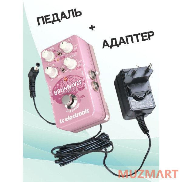 TC Electronic KIT Brainwaves Pitch_ACDOO6 Педаль эффектов с адаптером питания