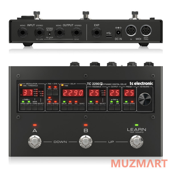 TC Electronic 2290 P DYNAMIC DIGITAL DELAY Гитарный эффект Delay