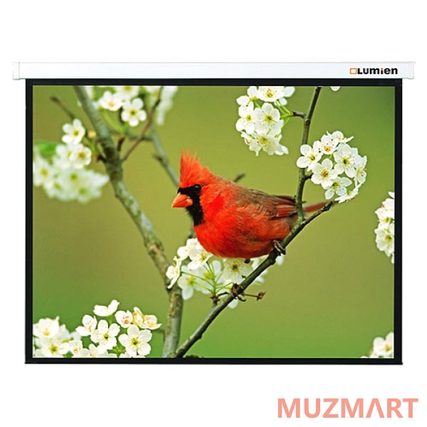 Lumien Master Picture (LMP-100102) Проекционный экран 153x153