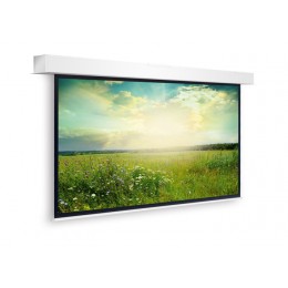 Projecta 10101464 Descender Large Electrol Проекционный экран 316x500
