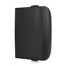 Tannoy DVS 6T Всепогодная пассивная акустическая система