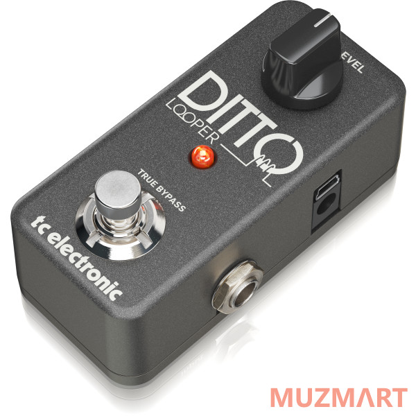 TC Electronic Ditto Looper Гитарная педаль