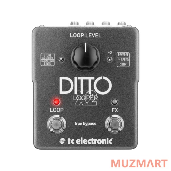 TC Electronic Ditto X2 Looper Гитарная педаль лупер