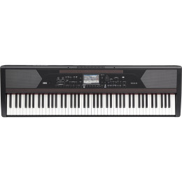 Korg Havian 30 Цифровое пианино