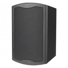 Tannoy DI5 DCT 2-полосная всепогодная АС
