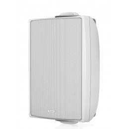 Tannoy DVS 4 WH Всепогодная пассивная акустическая система