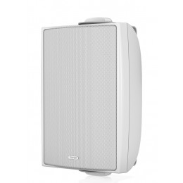 Tannoy DVS 4T WH Всепогодная пассивная акустическая система