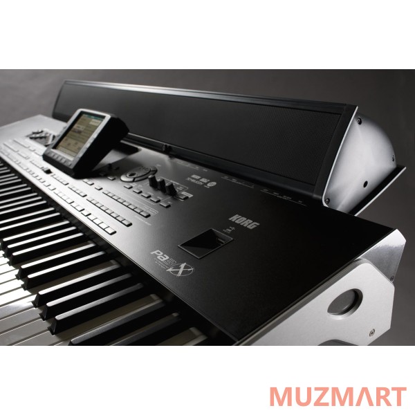 Korg PaAS Трёхполосная акустическая система