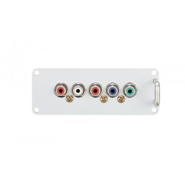 Panasonic (TY-42TM6Z) Плата с разъемами RCA