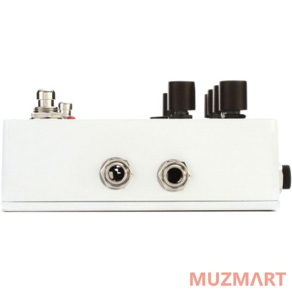 Pigtronix E2F Echolution 2 Filter Pro Delay Педаль дилэй