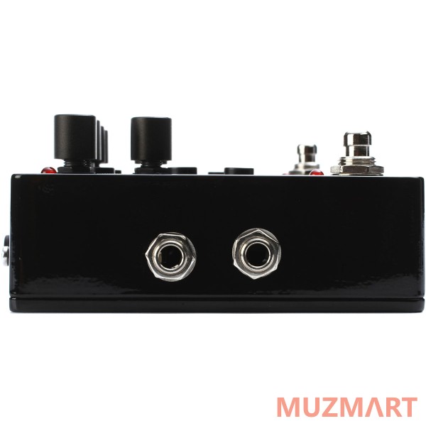 Pigtronix E2U Echolution 2 Ultra Pro Delay Педаль дилэй