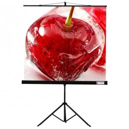 ViewScreen Clamp Pro (4:3) 203*153 (195*145) MW Мобильный проекционный экран