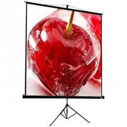 ViewScreen Clamp Pro (4:3) 171*128 (165*122) MW Мобильный проекционный экран